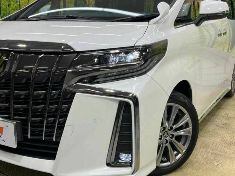 ALPHARD-13