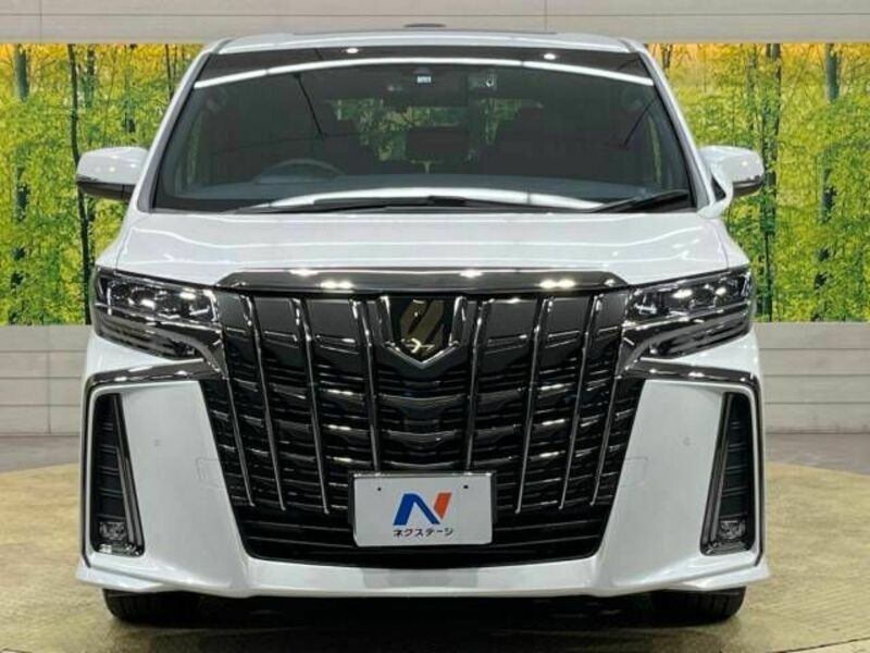 ALPHARD-15