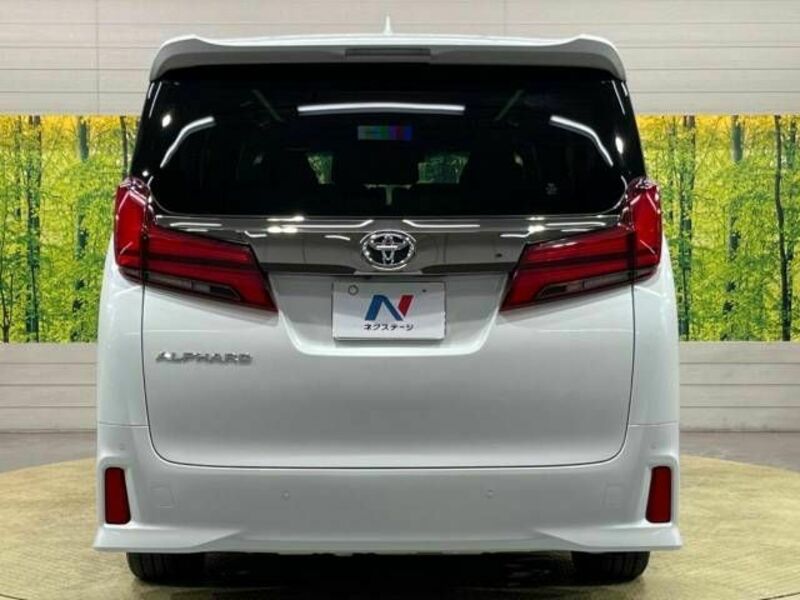 ALPHARD-16