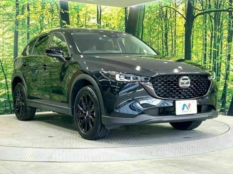 CX-5-16