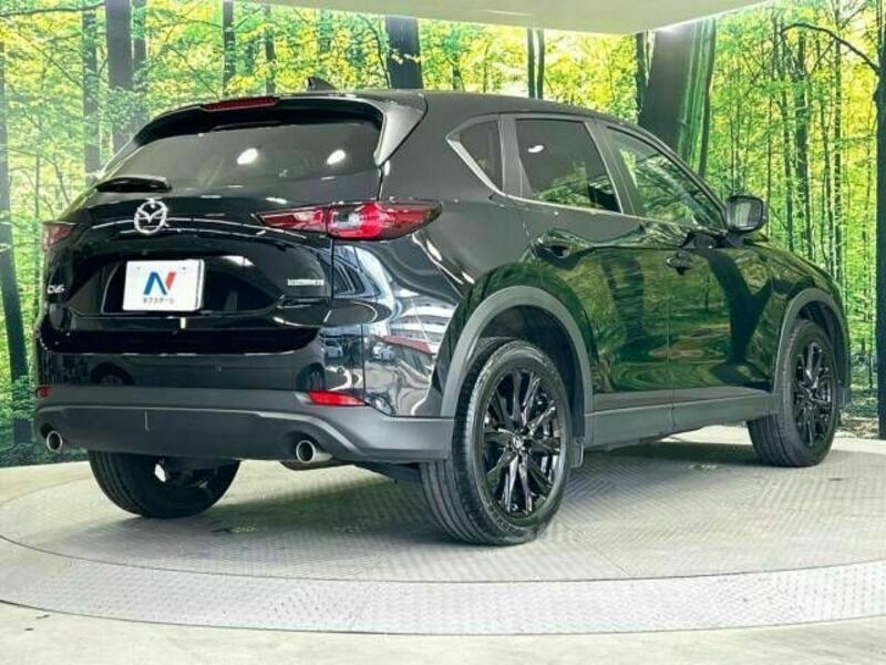 CX-5-17