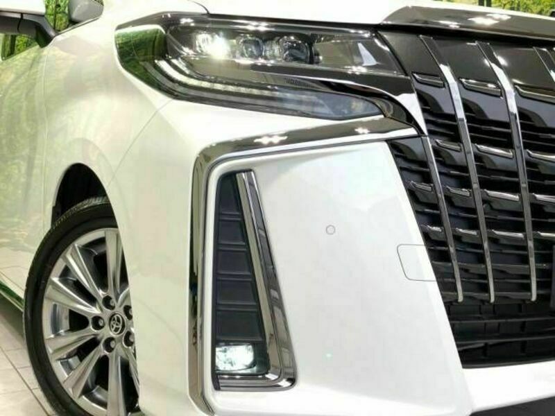 ALPHARD-12