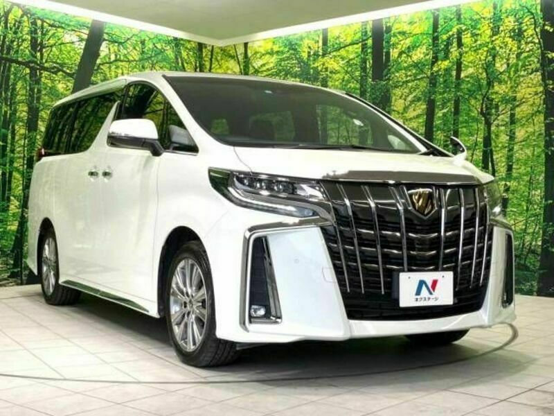 ALPHARD-16