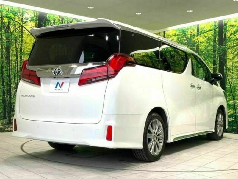 ALPHARD-17