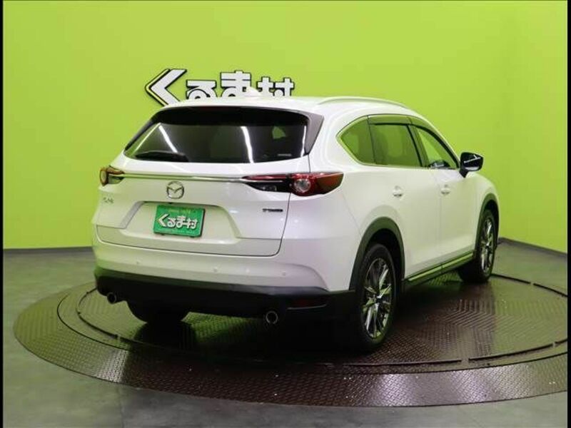 CX-8-1