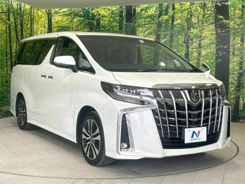 ALPHARD-16