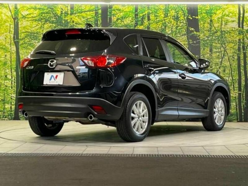 CX-5-17