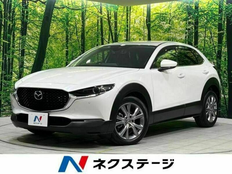 CX-30