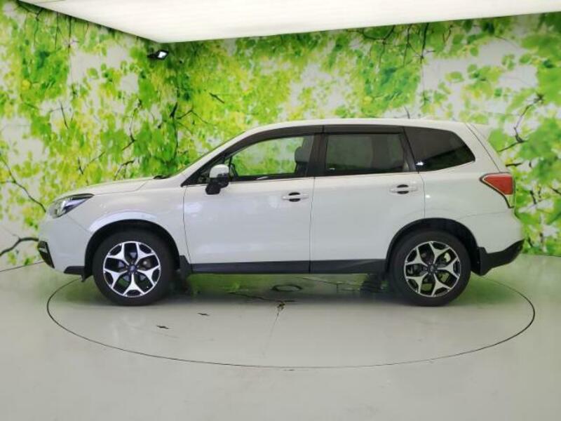 FORESTER-1