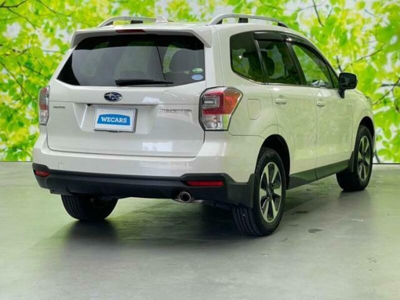 FORESTER-2