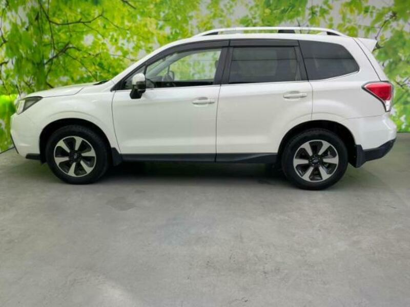 FORESTER-1