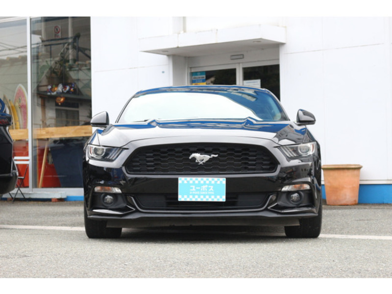 MUSTANG-4