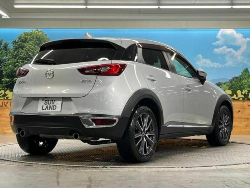 CX-3-17