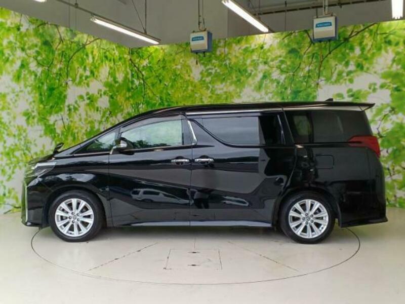 ALPHARD-1