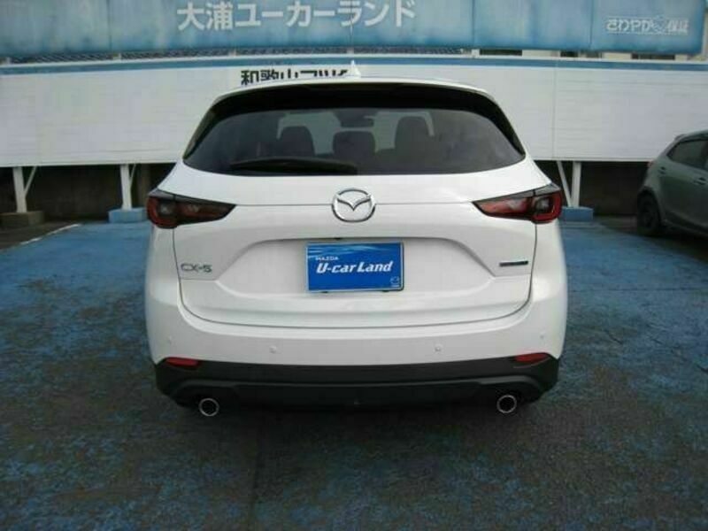 CX-5-6