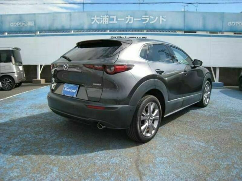 CX-30-2