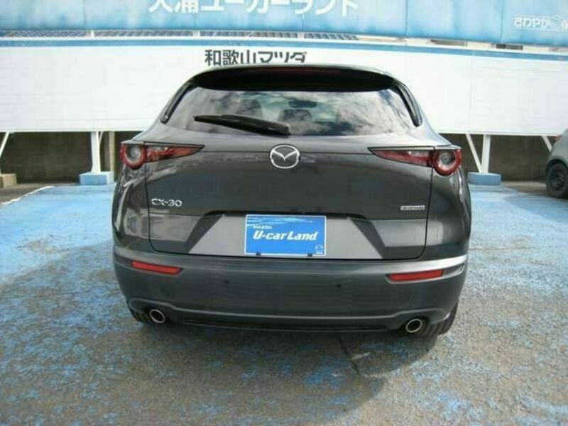 CX-30-4