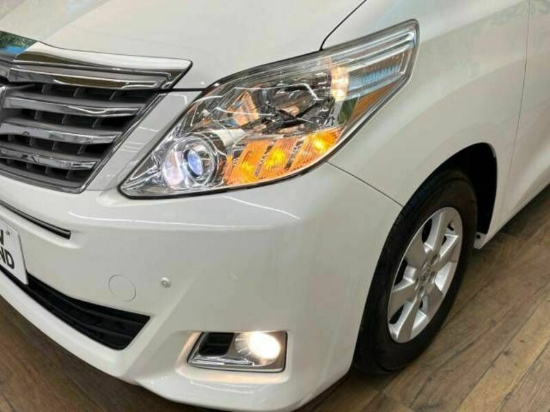 ALPHARD-13