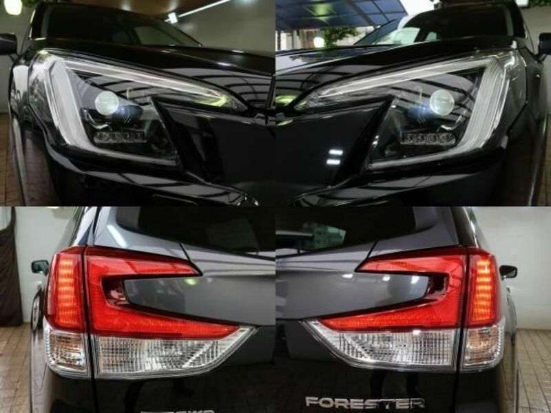 FORESTER-3