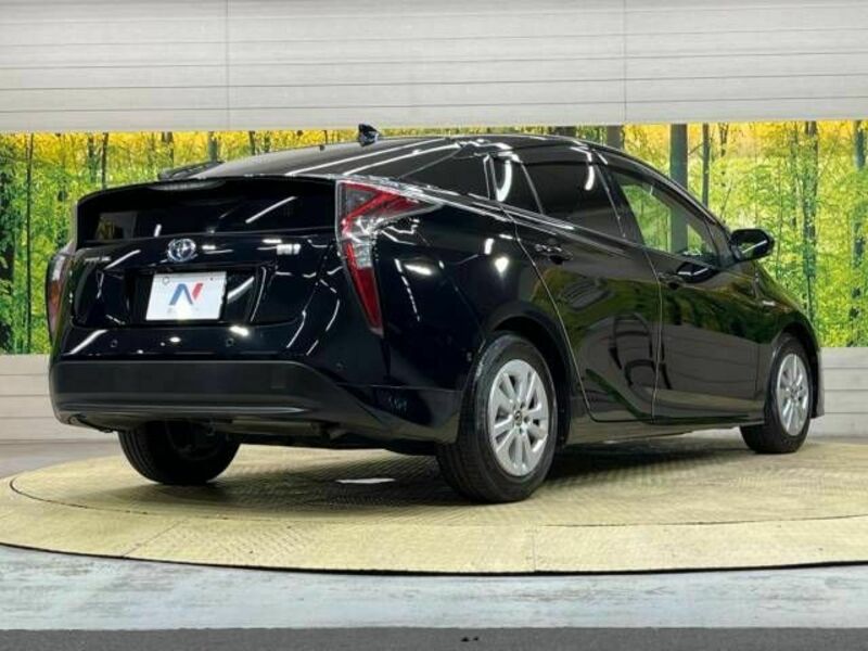 PRIUS-17