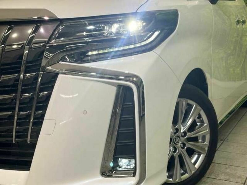 ALPHARD-12