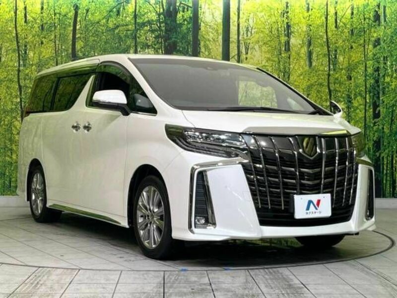 ALPHARD-16