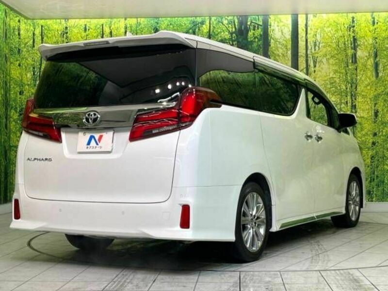 ALPHARD-17