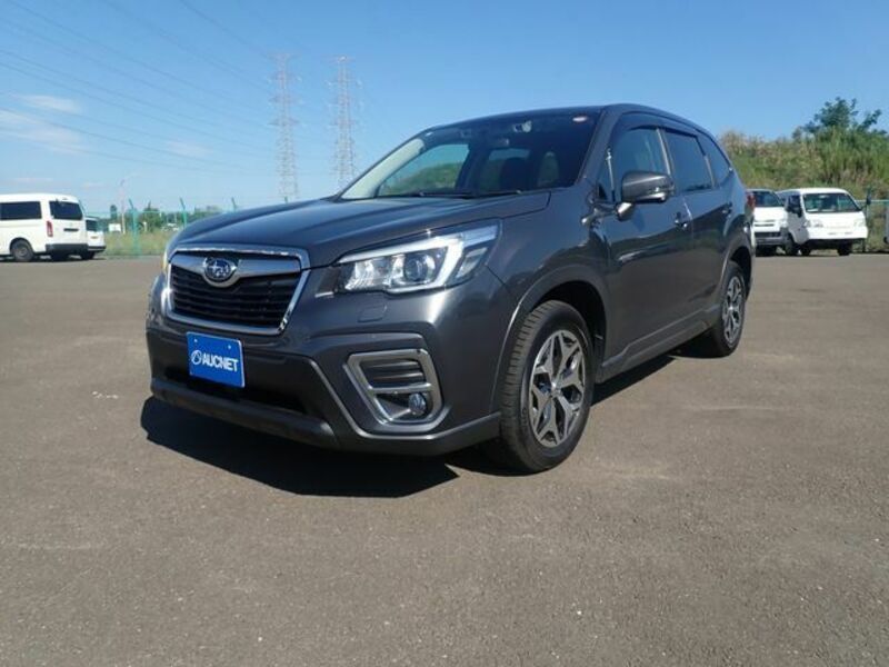 FORESTER-3