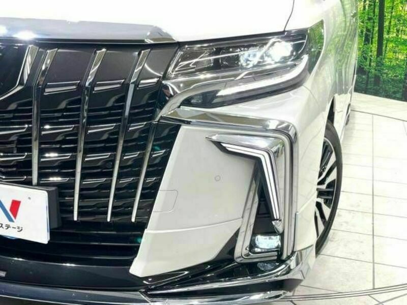 ALPHARD-19