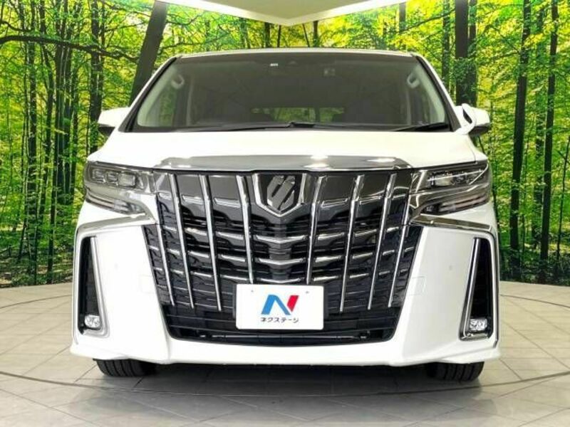 ALPHARD-15