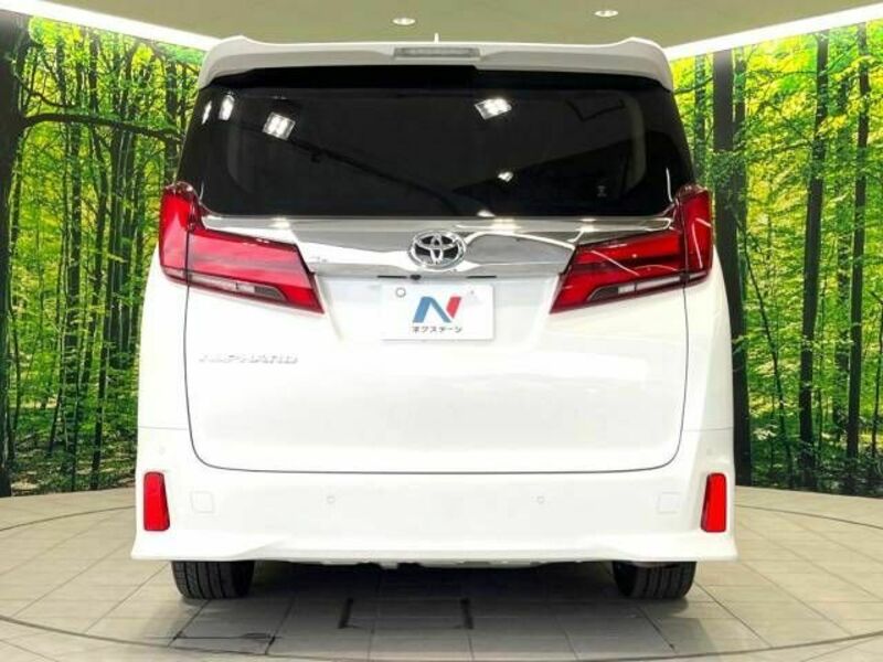 ALPHARD-16