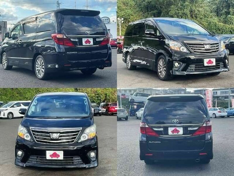 ALPHARD-8