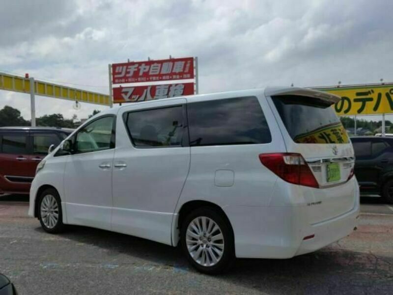 ALPHARD-11