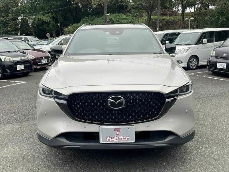 CX-8-17