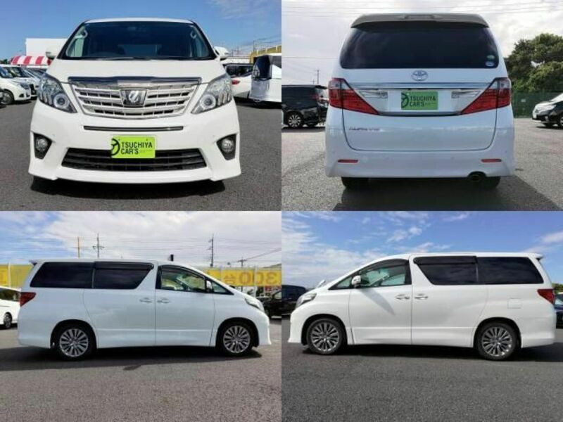 ALPHARD-3