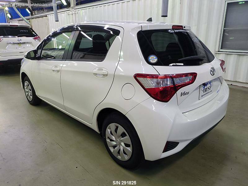 VITZ-3