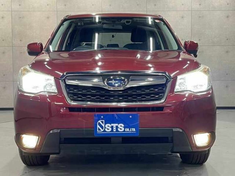 FORESTER-3