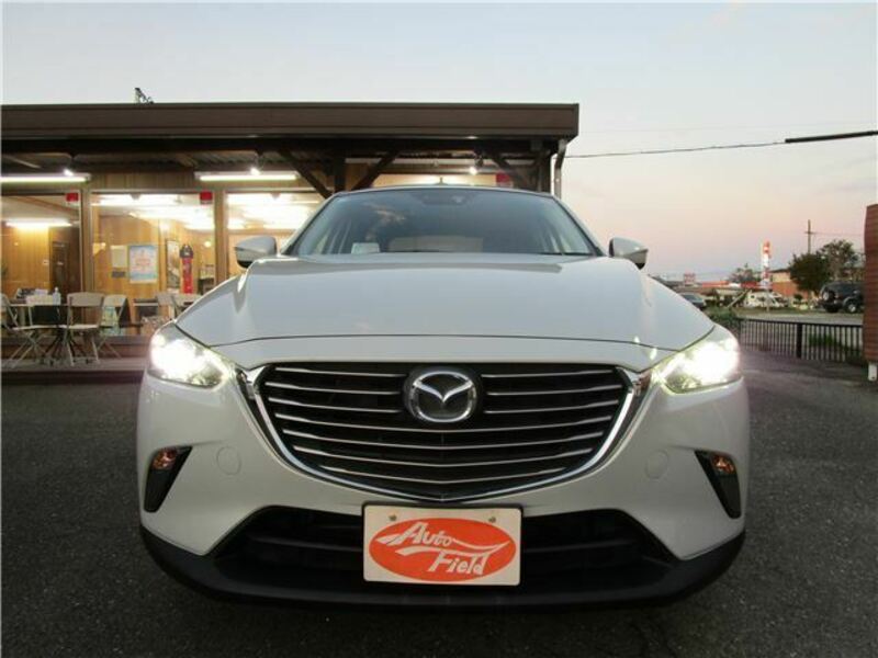 CX-3-21