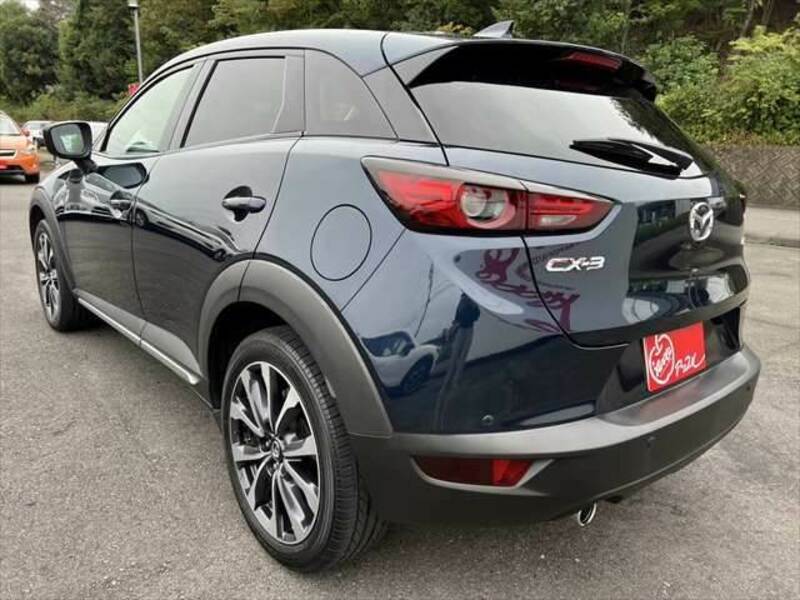 CX-3-19