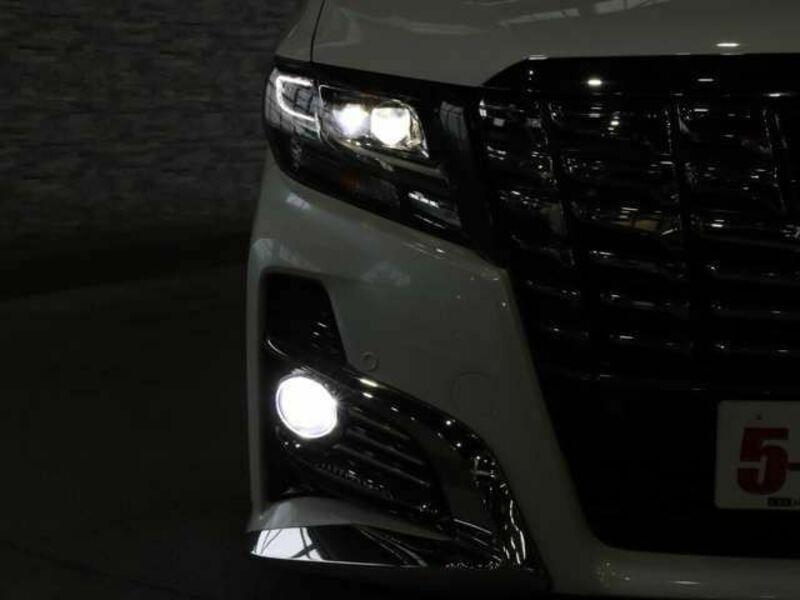 ALPHARD-14