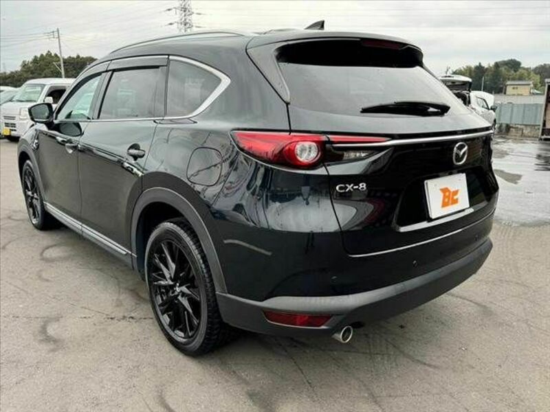 CX-8-12