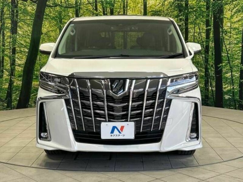 ALPHARD-14