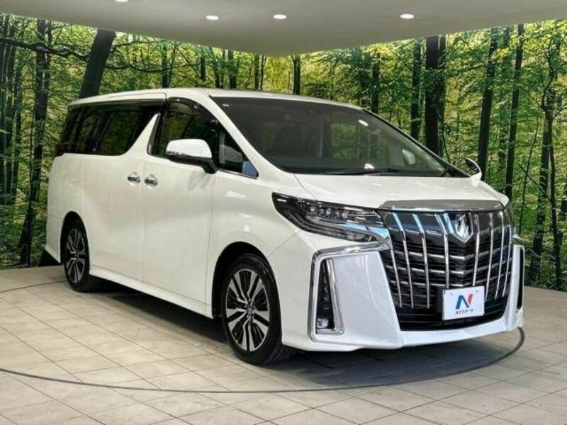 ALPHARD-16