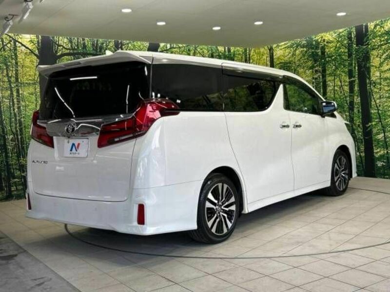 ALPHARD-17