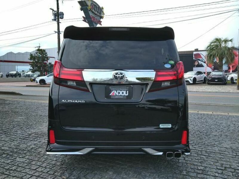 ALPHARD-6