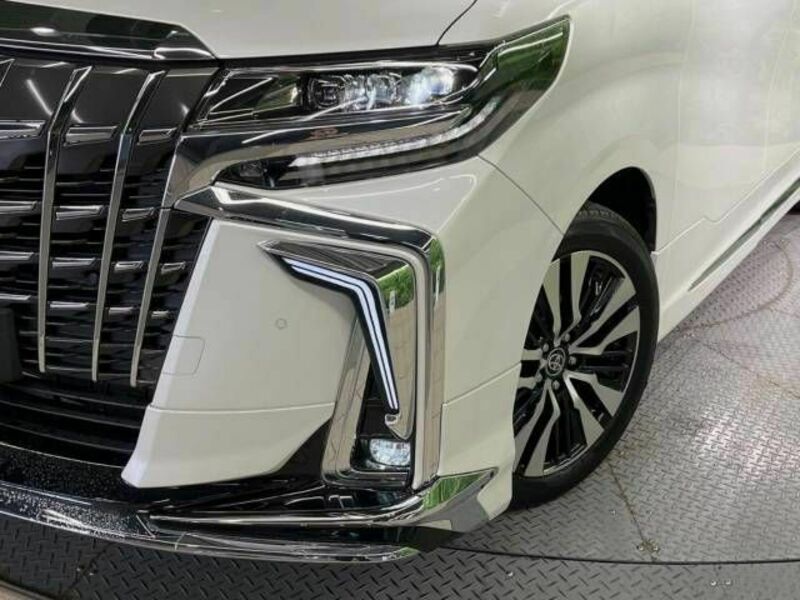 ALPHARD-13