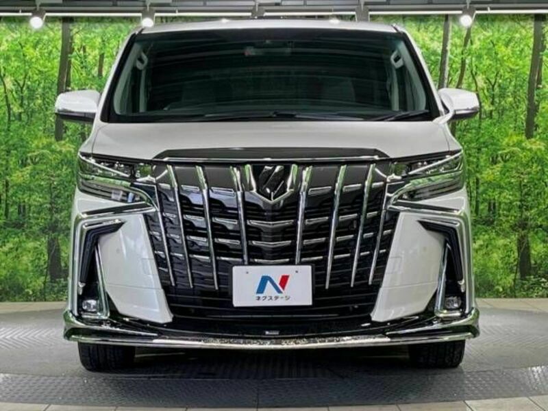 ALPHARD-15