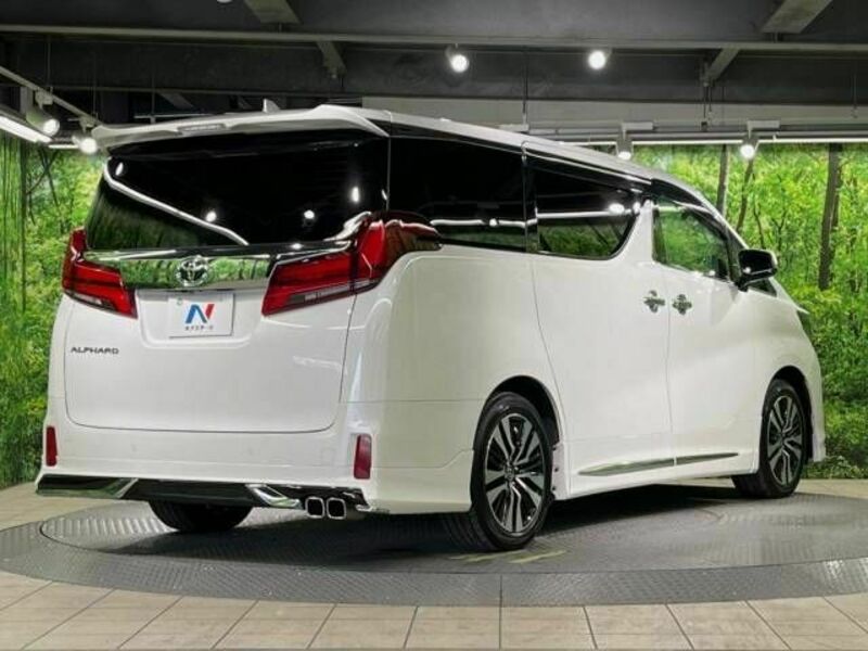 ALPHARD-17