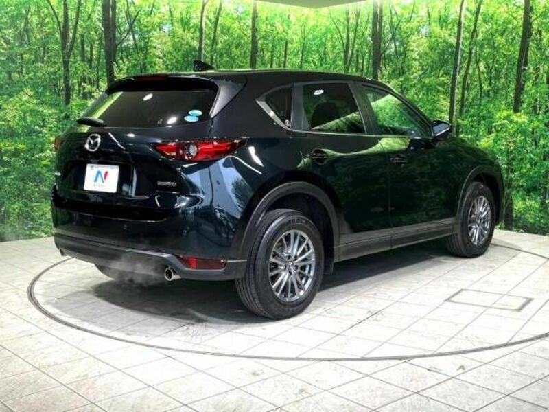 CX-5-17