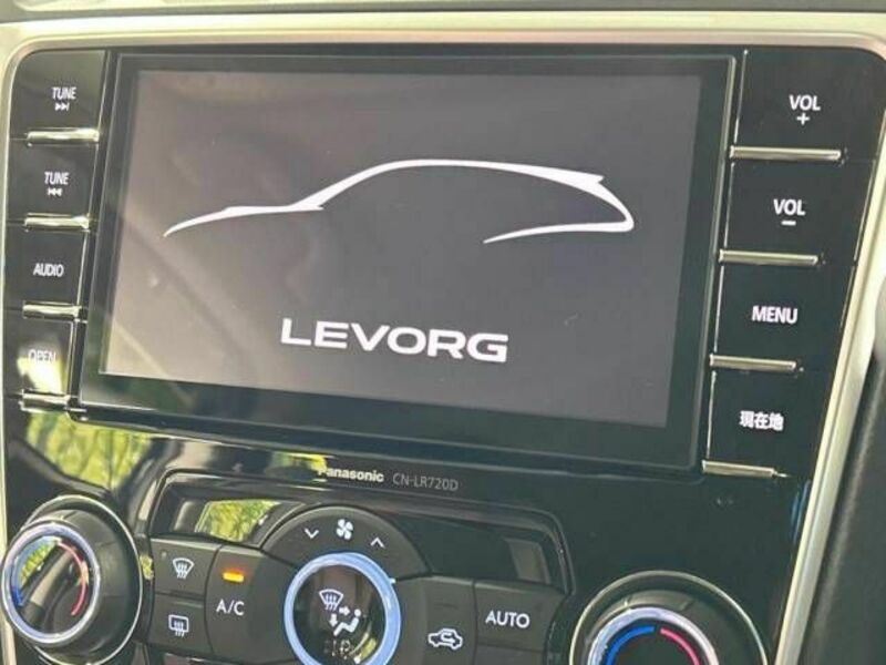 LEVORG-3